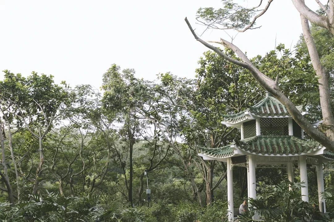深圳周末浪漫好去处,深圳浪漫约会地点十个景点