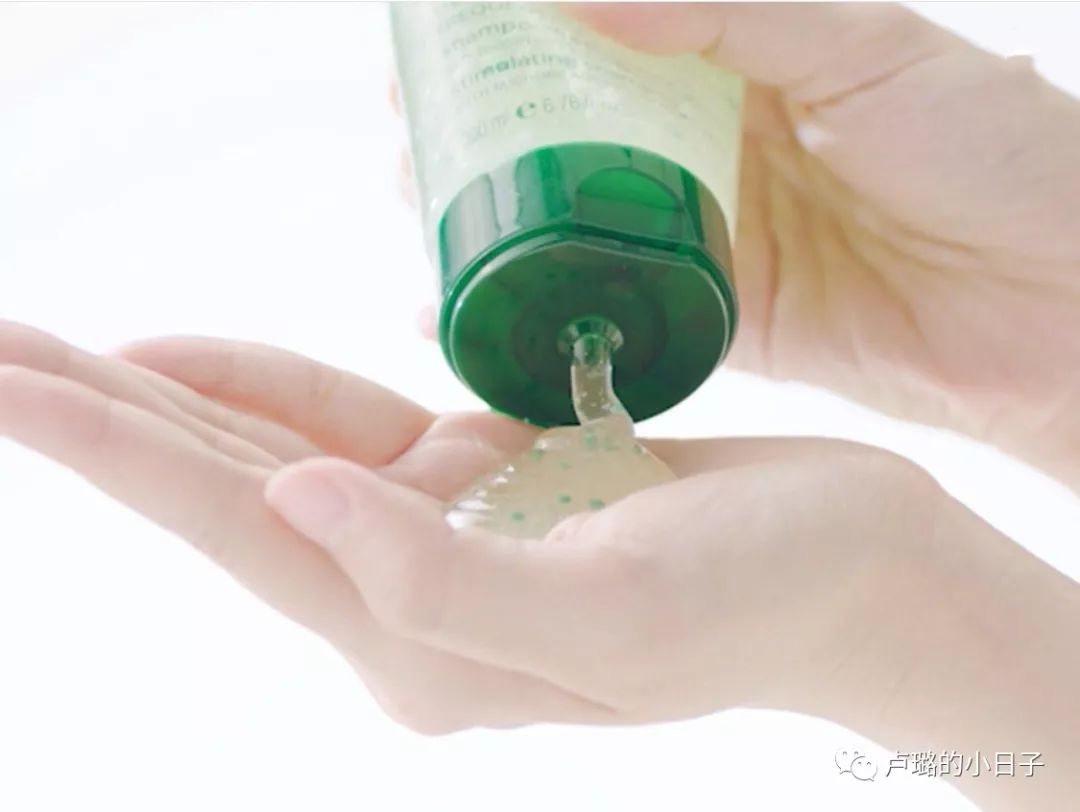 可以拯救发际线的洗发水推荐,拯救干枯毛躁和去屑的平价洗发水