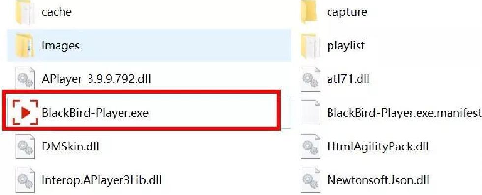 黑鸟电视直播软件下载官方,黑鸟播放器如何添加电视直播源