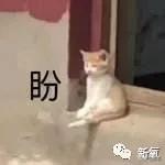 牛X！43岁姐姐长19岁妖精脸，衬得小10岁鲜肉男友像爹…