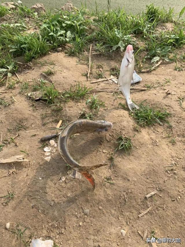 在家没事制作钓鱼浮漂,没事自己制作一根钓鱼竿