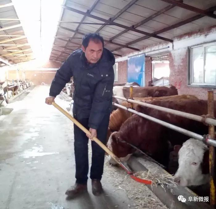 阜新人的生活,阜新人怎么样啊