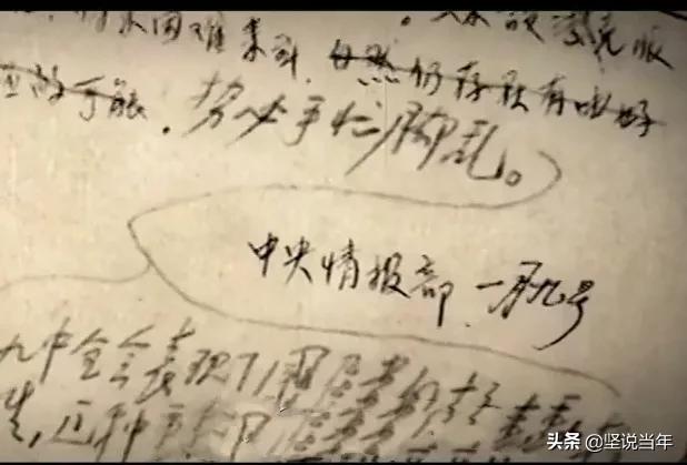 沈安娜：潜伏在蒋介石身边十一年的谍战玫瑰