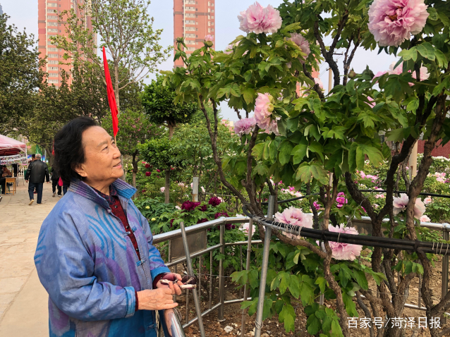 张得蒂雕塑作品值钱吗,张得蒂雕塑拍卖价格