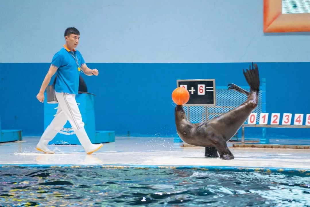 蓬莱美如画,蓬莱美景