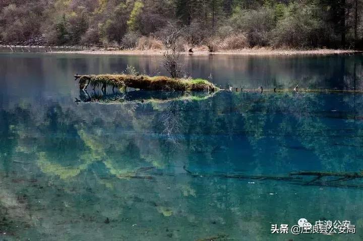 一起领略警营文化,警营文化五月随笔