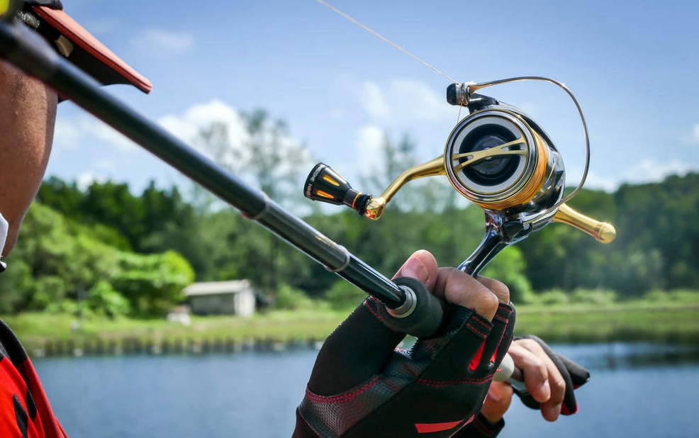 江团适合在什么水面上钓,江团钓技