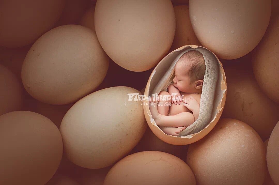 茄子儿童摄影店,茄子新生儿童摄影