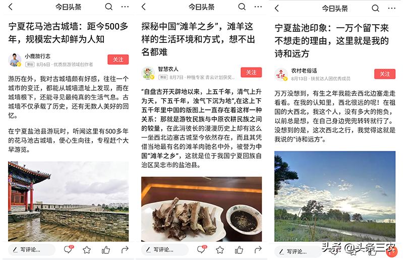 风物中华大好河山,滩羊之乡风物盐池