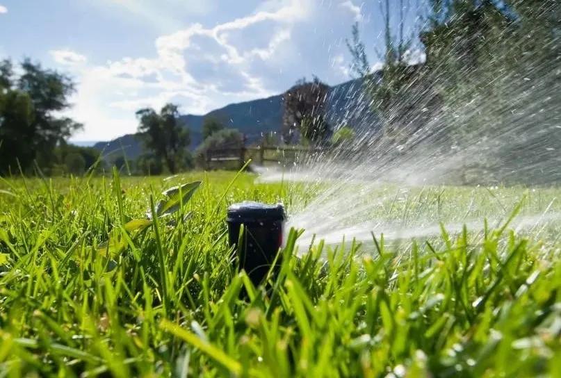 草坪的夏季管理,百慕大草坪夏季修剪高度标准