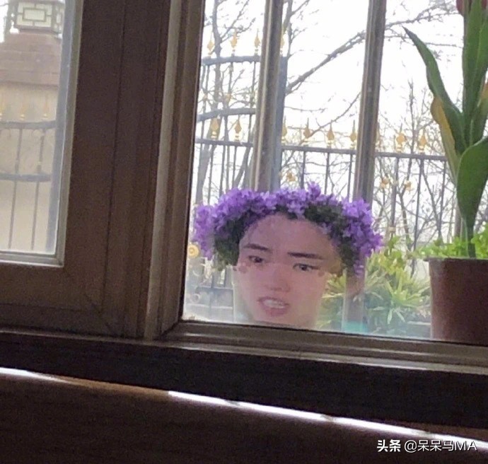 密室大逃脱搞笑记,密室大逃脱段子