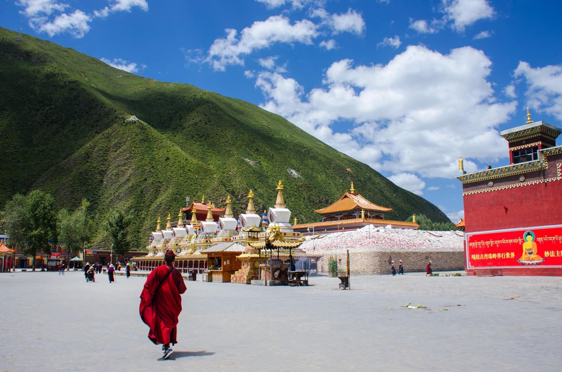 有一种美叫九寨沟,有一种美丽叫若尔盖