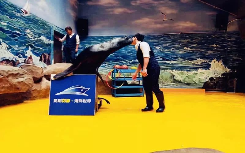 鏄嗘槑钀屽疇鍔ㄧ墿涓婚涔愬洯,鏄嗘槑瀹ゅ唴钀屽疇涔愬洯