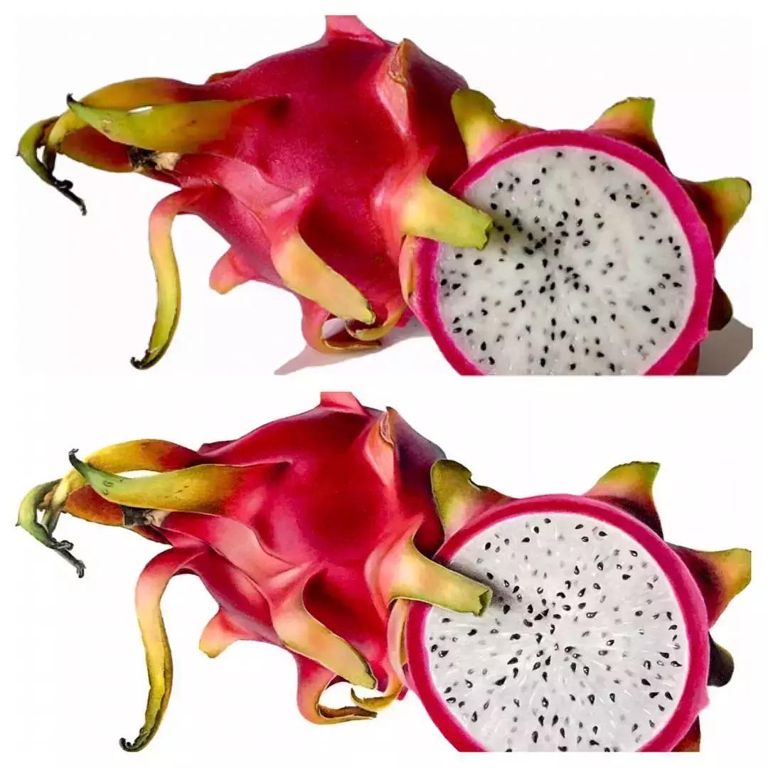 彩铅如何画得非常细腻,彩铅画的很好看零基础