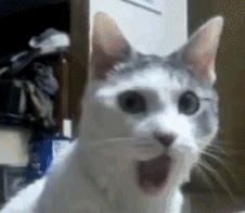 冷知识维多利亚时期,维多利亚的秘密有实体店吗