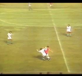 箭逐云鸿落鹰随月兔飞什么意思,箭逐云