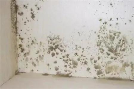 家里墙壁发霉发黑？别急着浪费钱重刷，传授一招，旧墙焕然一新