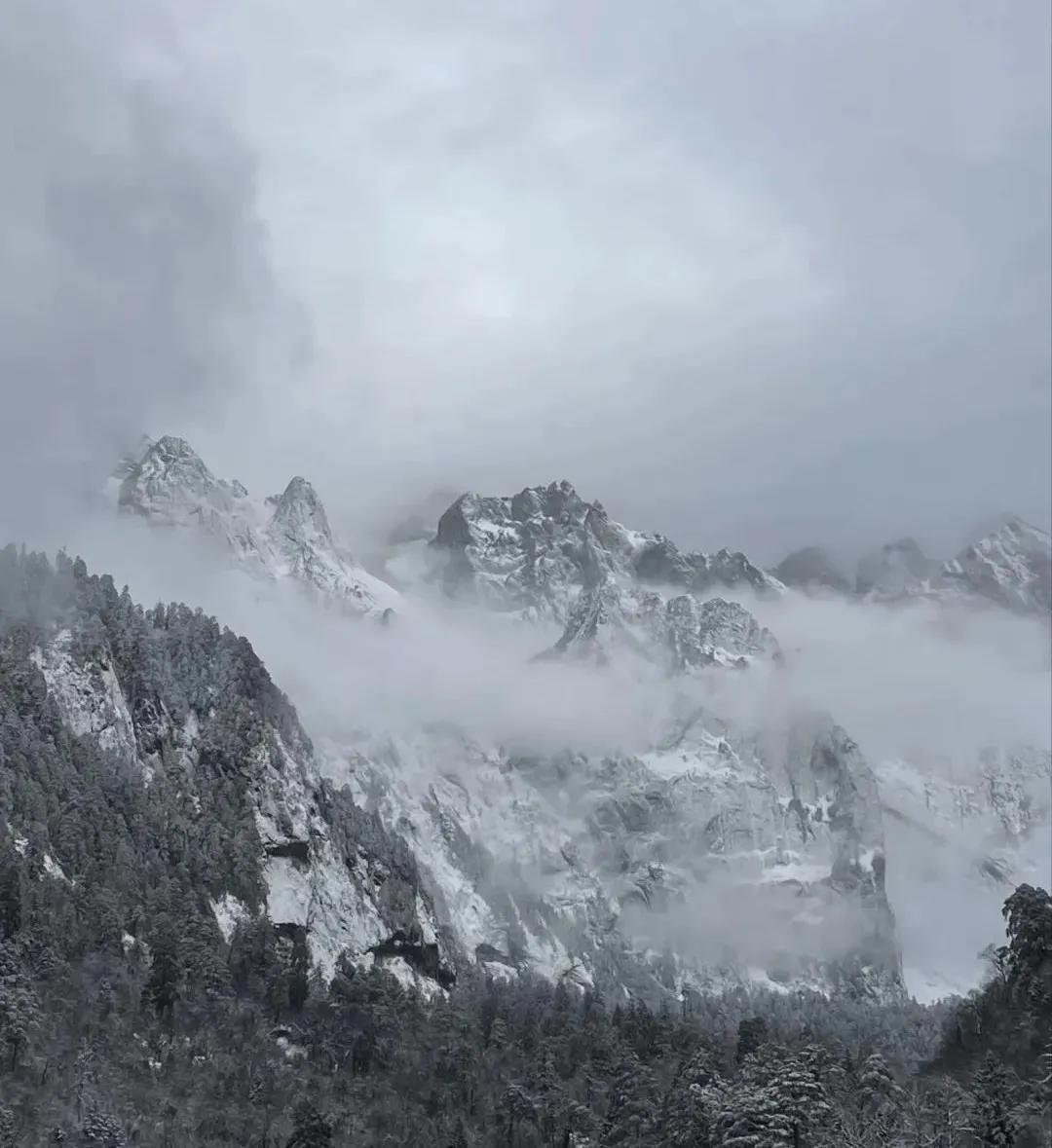 甲友心声2019,甲友心声向甲癌致谢