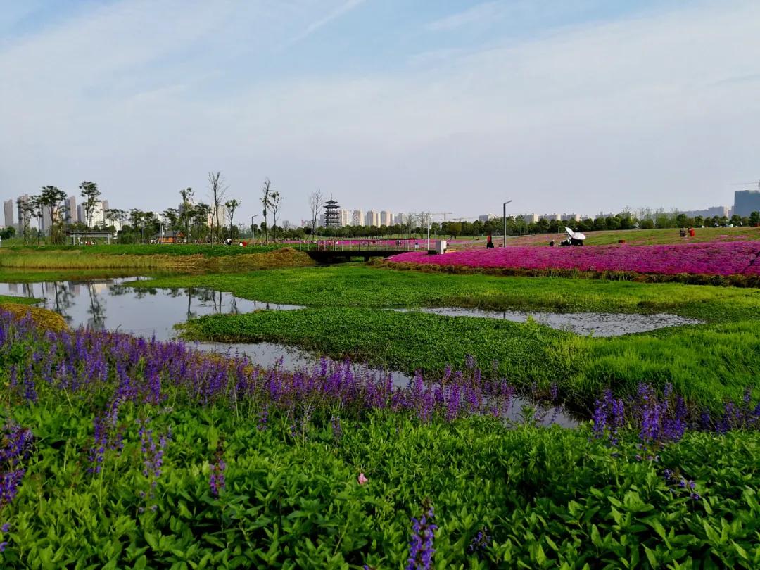 长沙岳麓区适合一个人去的地方,五一长沙岳麓区哪里好玩