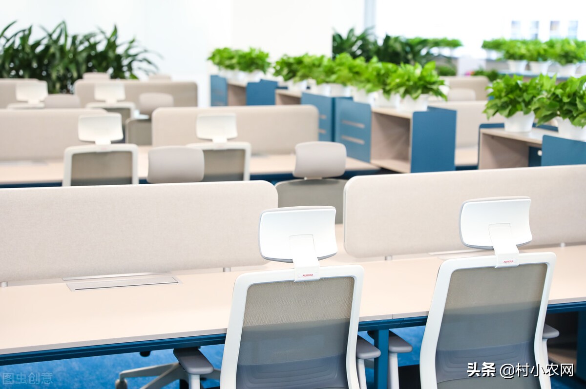 适合农村创业的29个项目,2022乡镇致富新项目