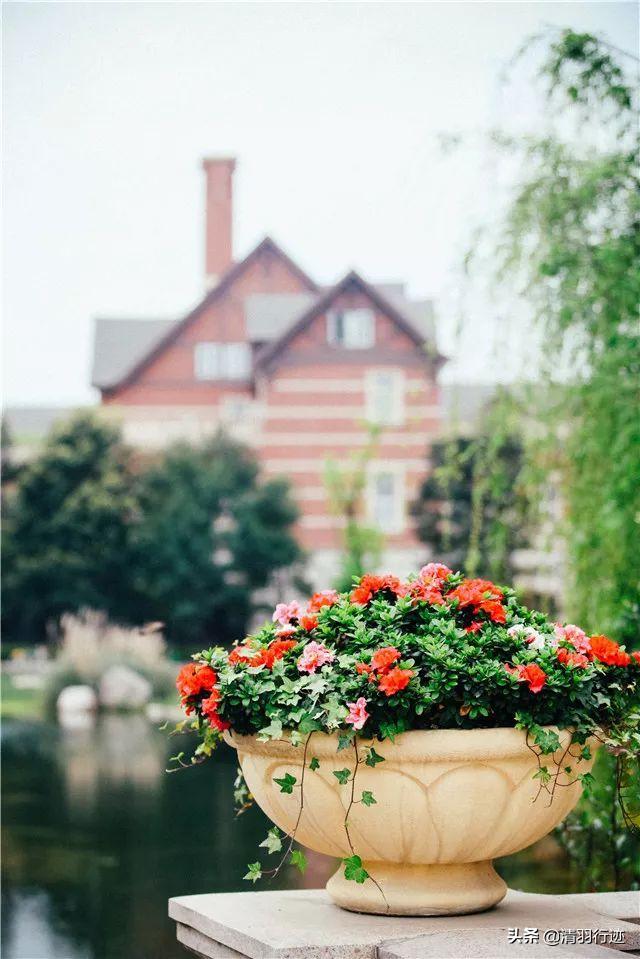 四川大学最美景点叫什么,四川最美风景的10所大学