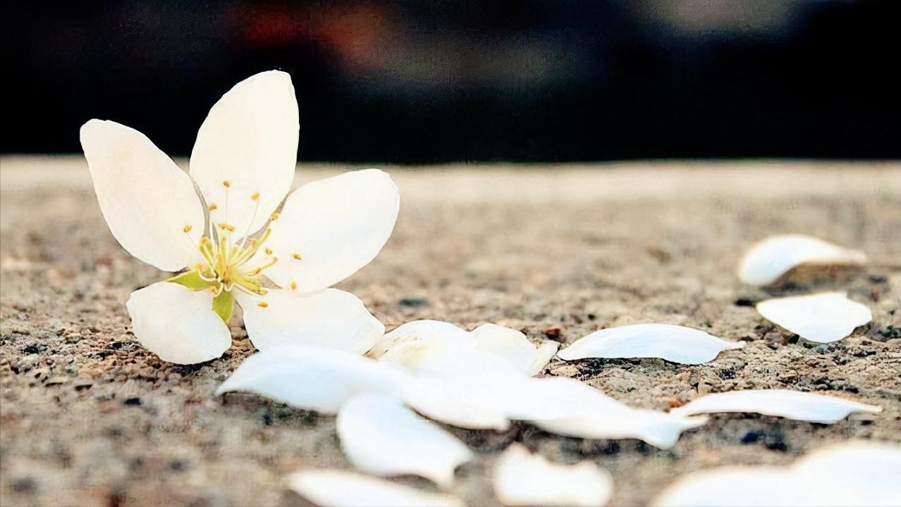让自己内心清净的咒语简短,让人沉静下来的咒语