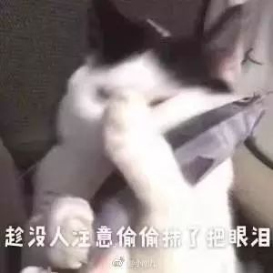 dior化妆品海淘攻略,这份ebay攻略请收好