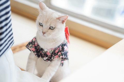 十堰市茅箭区赶集时间,十堰茅箭区约会