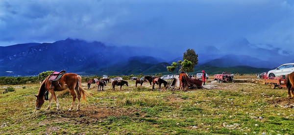 丽江小时光，遇见皆是欢喜