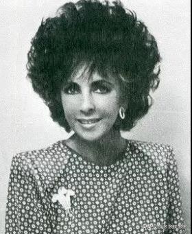 英国王室叶子胸针,威尔士胸针