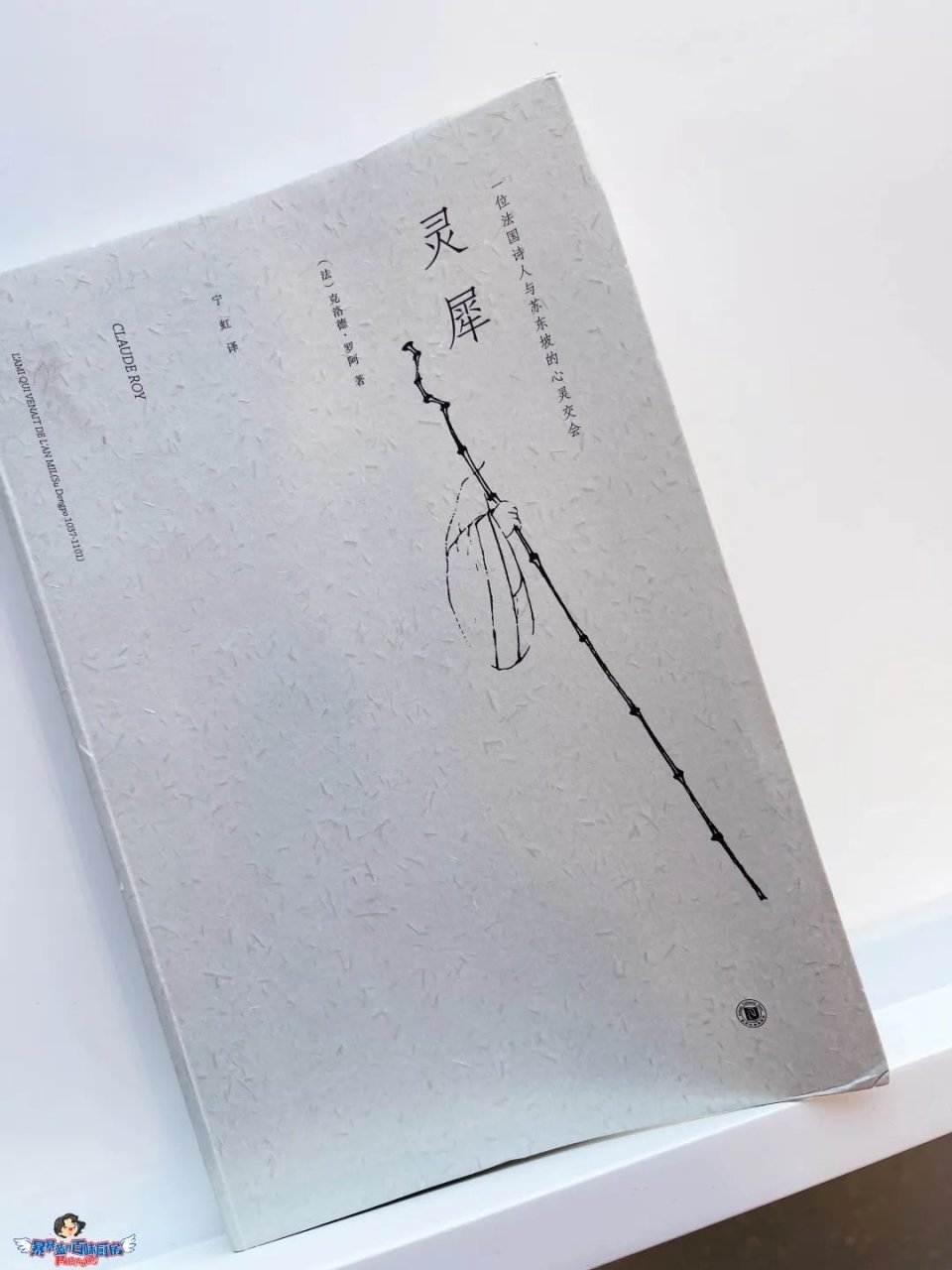 美哭了！沈阳公园里的高颜值城市书房，周末限流入馆！暴风哭泣