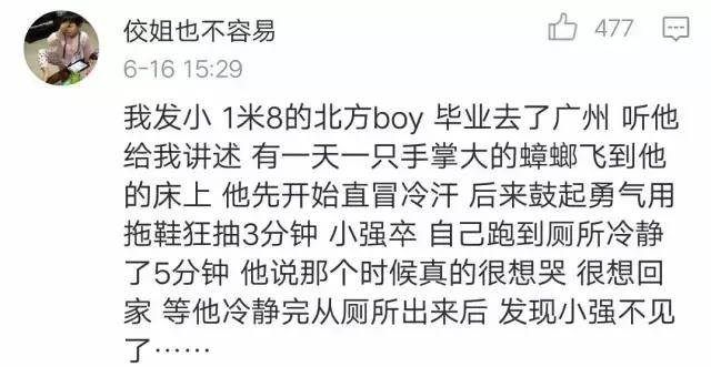 断头不死，马桶里重生，南方蟑螂凭什么把北方汉子吓出猪叫