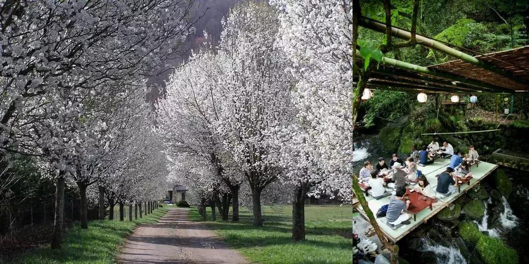 中国最美湿地公园，坐着船入住，皇帝都没机会住的地方你可以！