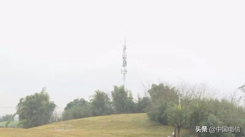 元宵节看火龙,火龙现场直播完整版