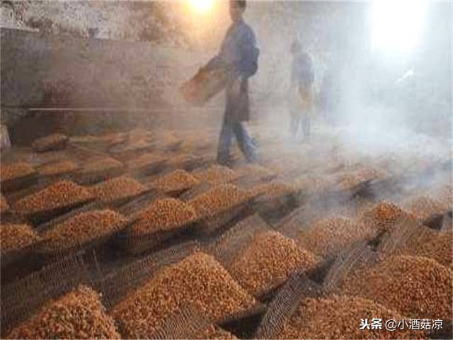 白酒的酿造工艺流程,酱香型白酒酿造工艺流程图解