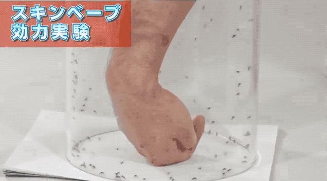 蚊香是最有效的驱蚊方式之一,蚊香驱蚊的正确方法