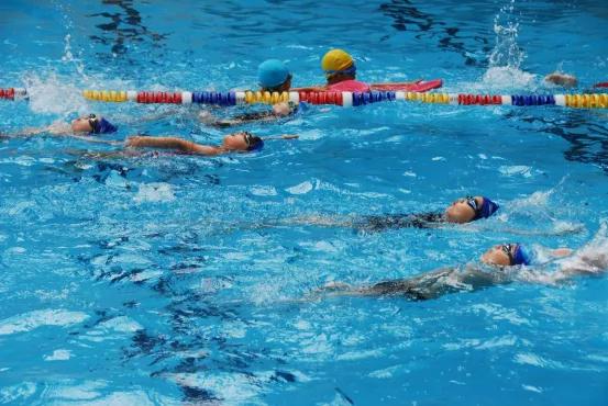 南京市金陵小学简介,南京市金陵小学多少个班