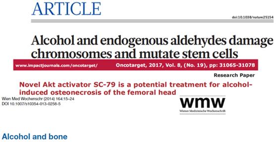 啤酒和白酒哪个对骨头伤害大,酒精对骨头的危害的视频