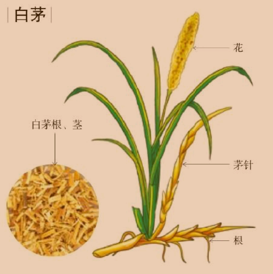 春日里的阳台书房