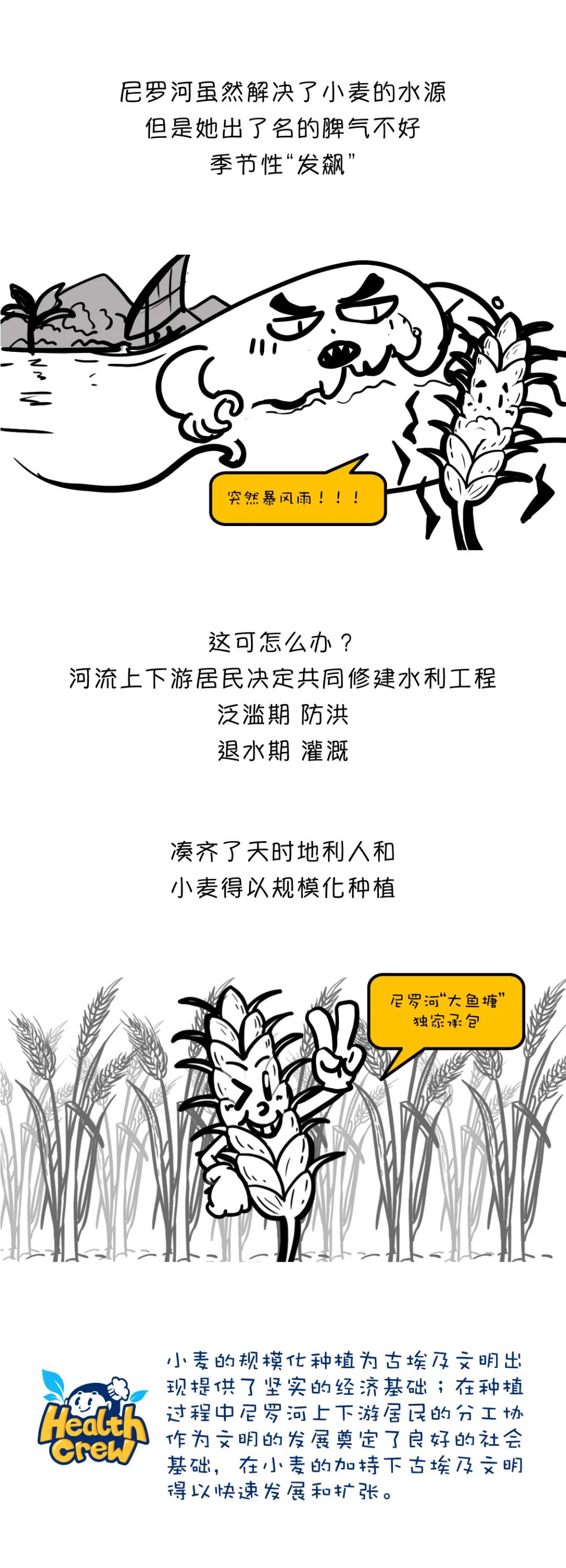 漫画食物简史好书推荐,漫画食物简史视频