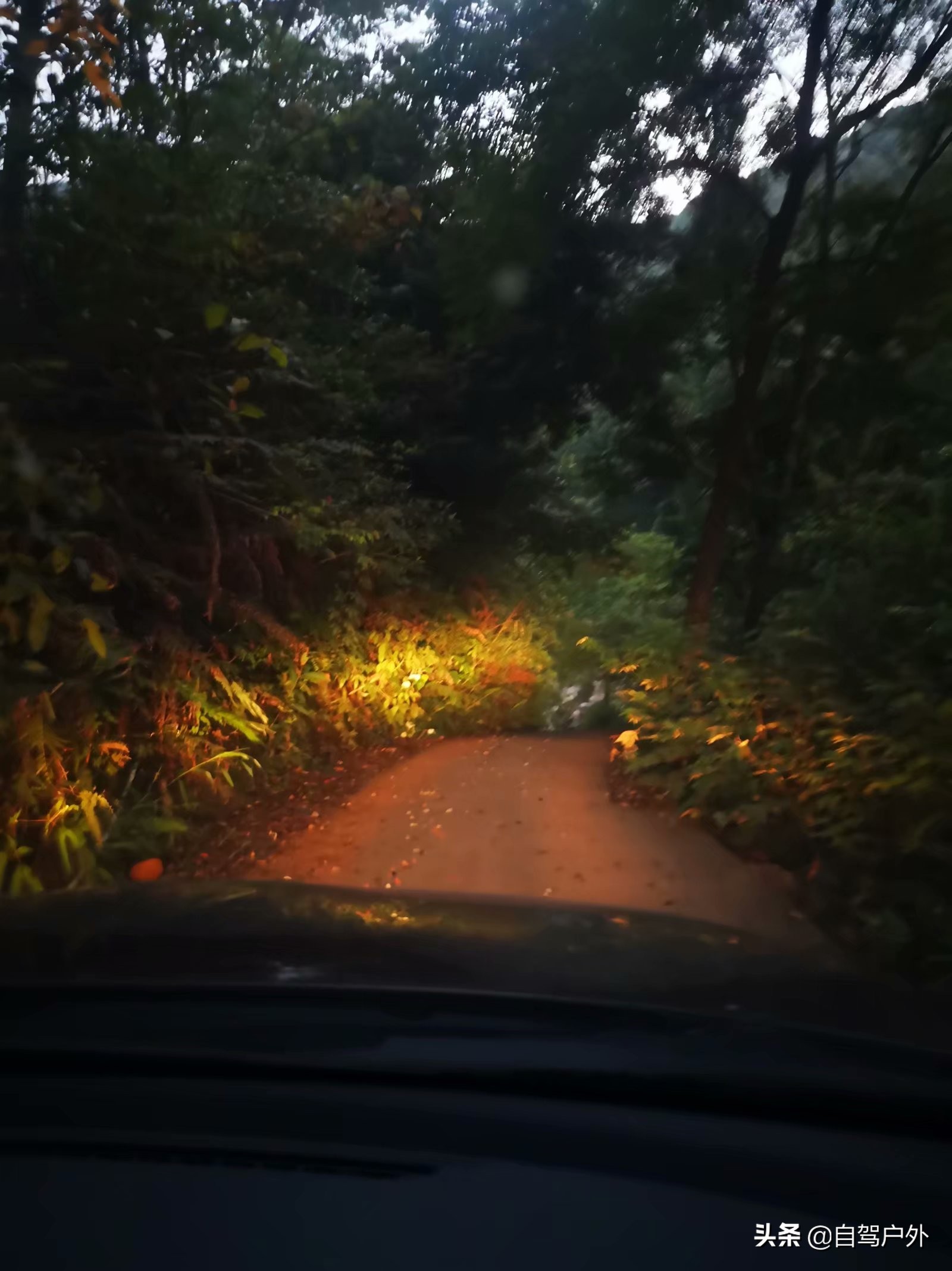 罗浮山明月山庄露营，天然大氧吧中溪谷边西瓜啤酒泡潭子悠闲周末