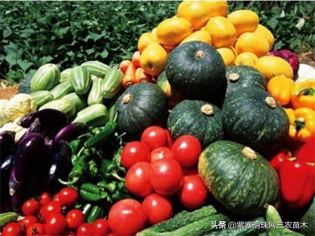 承德德润祥家庭农场,承德市德润祥家庭农场