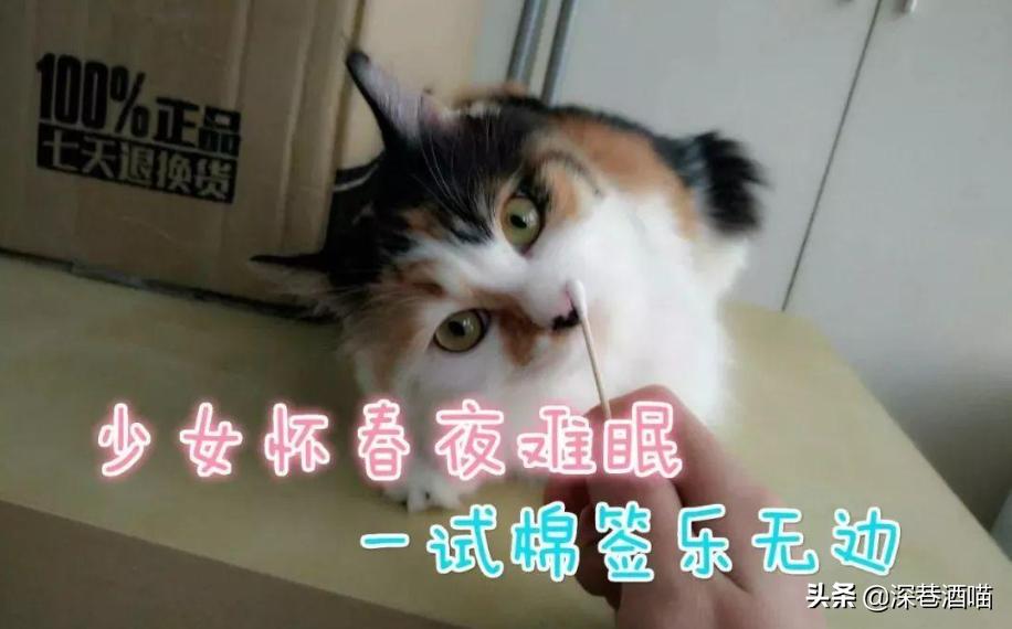 鍘荤埅鎵嬫湳瀵圭尗鏈夊澶х殑浼ゅ,妫夌澶ф硶鍚庡彲浠ョ粷鑲插悧