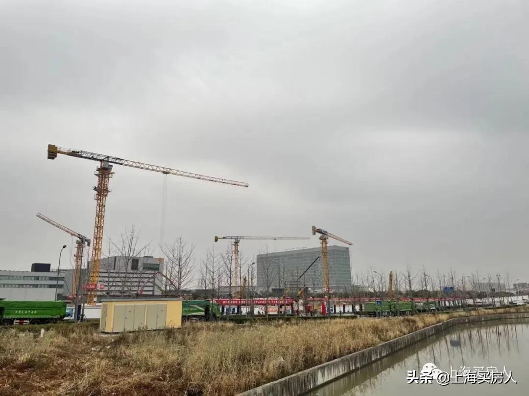 金鼎天地pk仁恒金桥世纪,仁恒金桥世纪评价