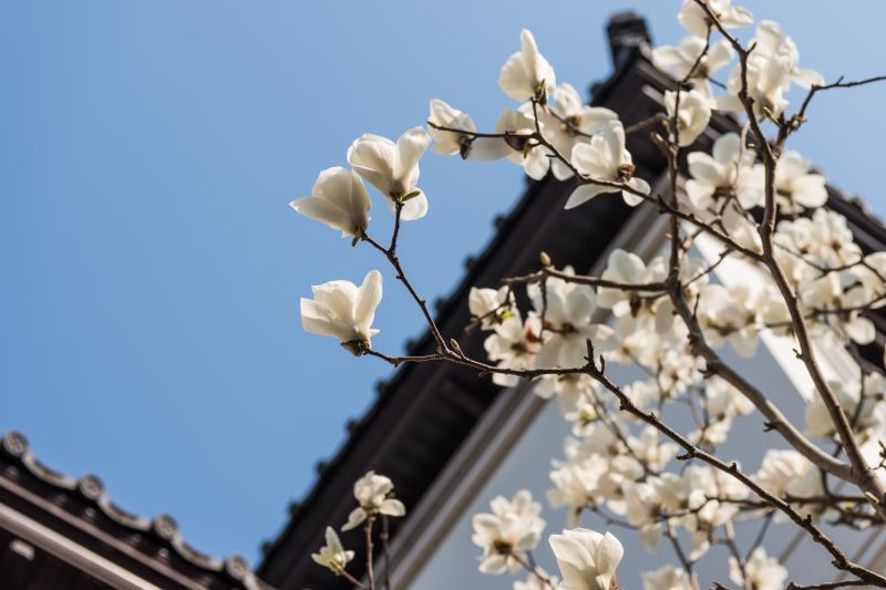 捡漏房源臻品府98平方91万,融创宜和园合院户型