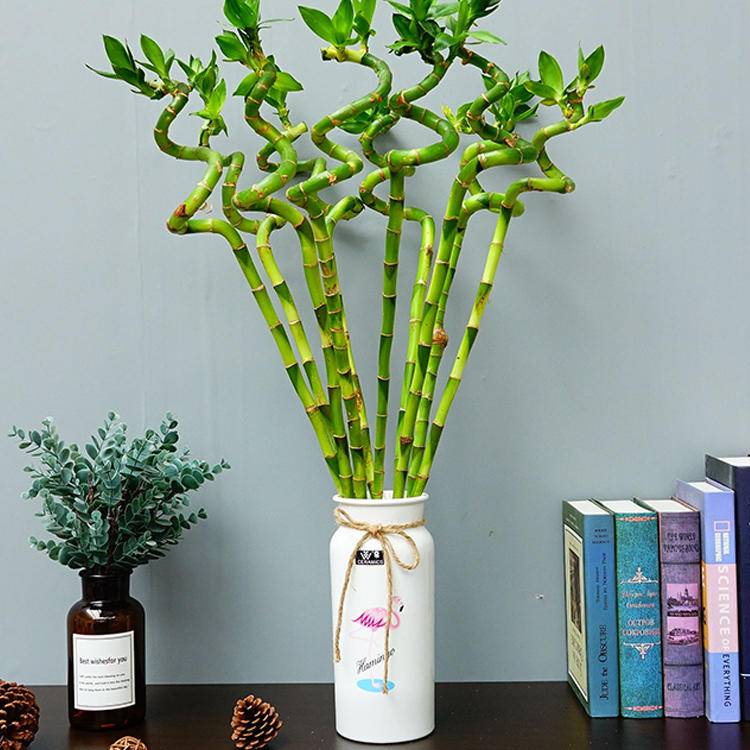 空调房保湿,空调房保湿原来如此简单