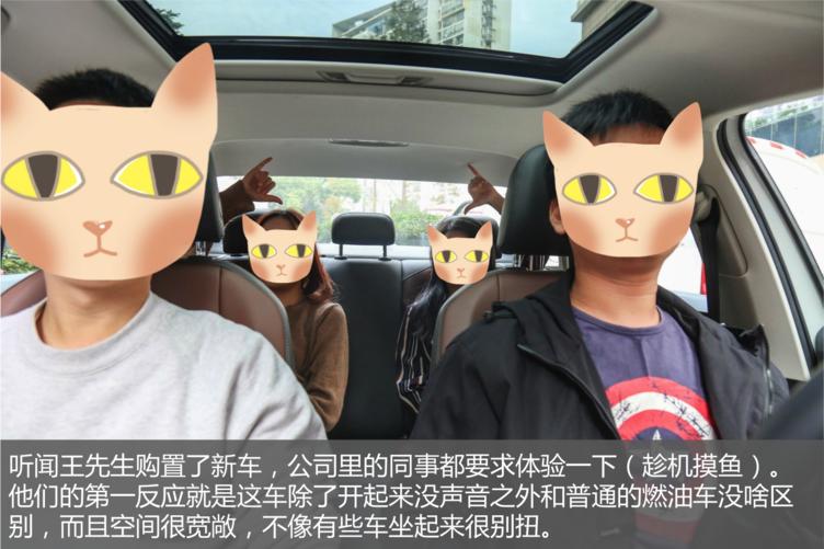 纯电动车基本知识,纯电动车车主真实感受