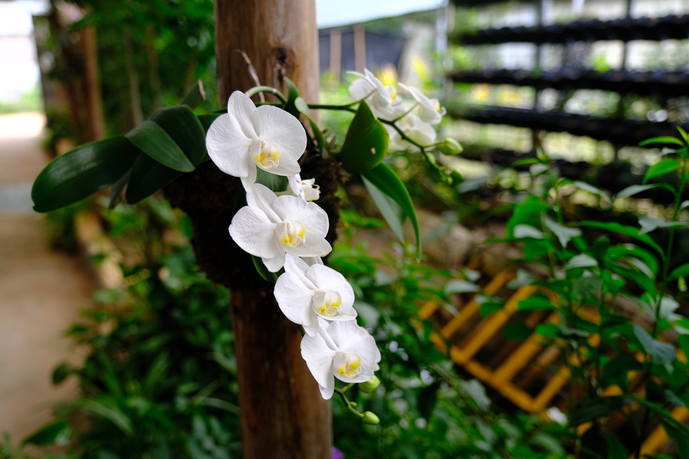 福建六鳌海滩,得天独厚图片