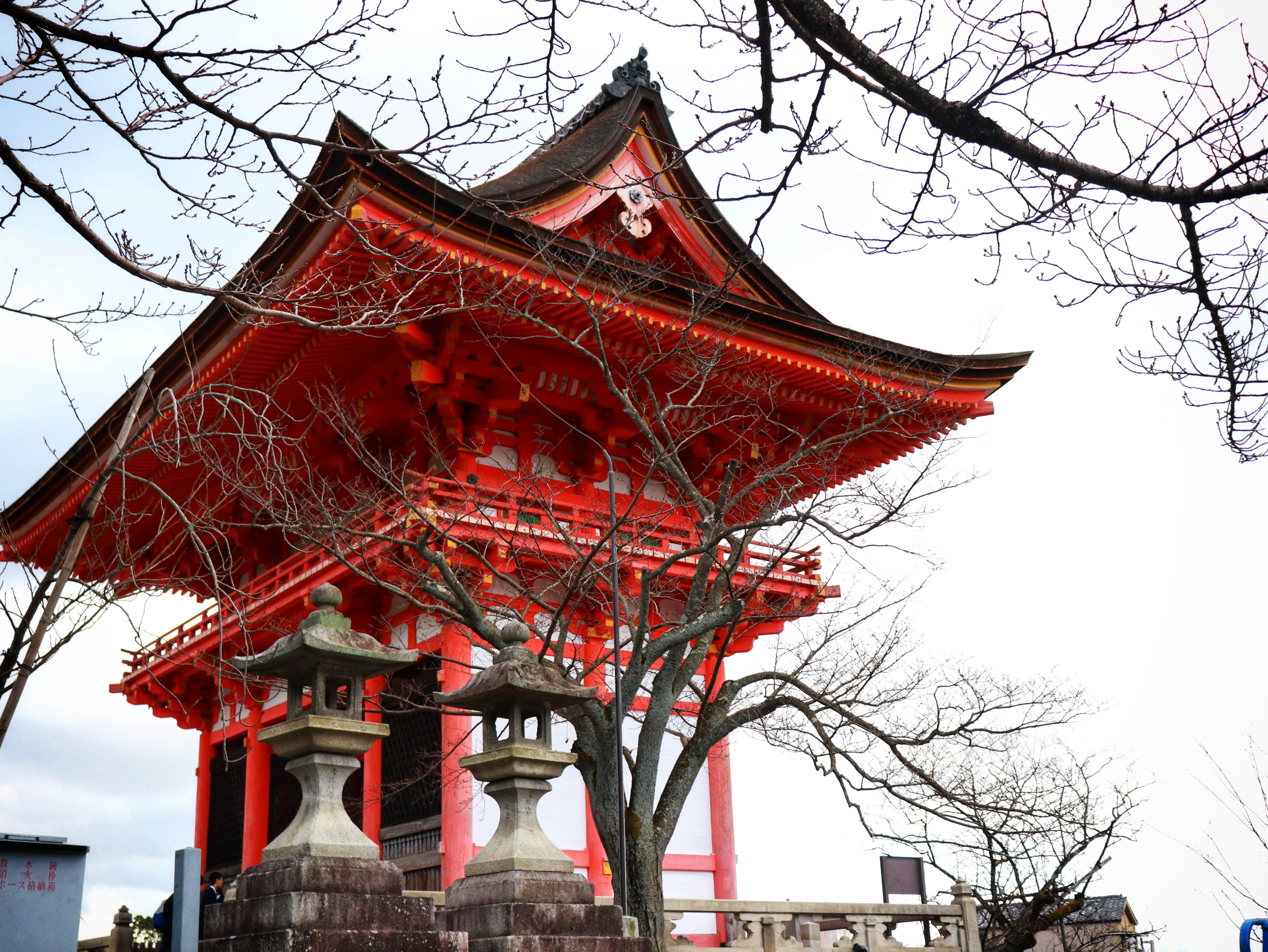 从甜品开始,从轻食到地道味荞麦面口感大比拼