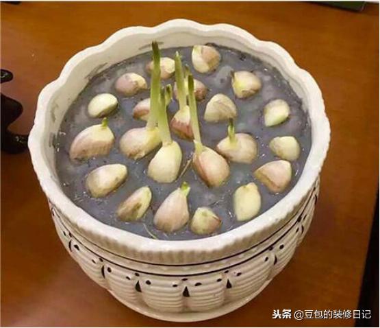 装修墙面是刷油漆好还是硅藻泥好,全屋做硅藻泥浪费吗